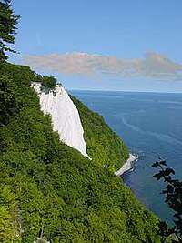 Kreidefelsen von Rügen